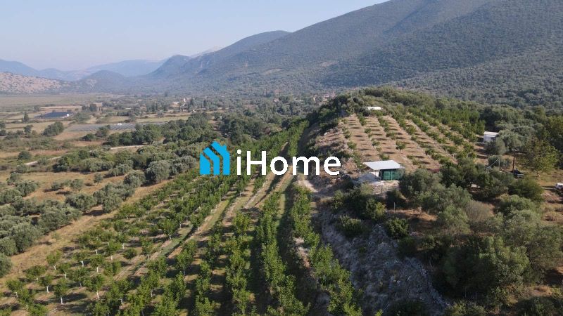 (Προς Πώληση) Αξιοποιήσιμη Γη Αγροτεμάχιο || Μαργαρίτι / Παλαιόκαστρο - 22000τ.μ, 400000€