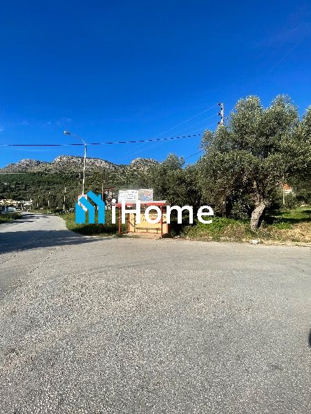 (Προς Πώληση) Αξιοποιήσιμη Γη Οικόπεδο εντός σχεδίου || Πλαταριά - 900τ.μ, 160000€