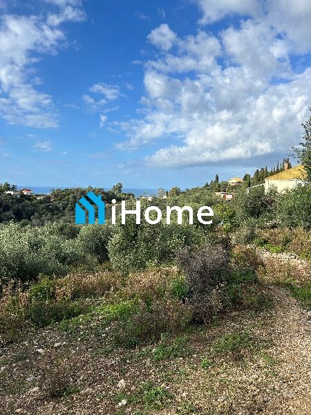 (Προς Πώληση) Αξιοποιήσιμη Γη Αγροτεμάχιο || Πέρδικα / Αρίλλας - 12500τ.μ, 270000€