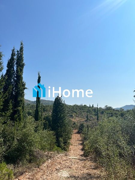 (Προς Πώληση) Αξιοποιήσιμη Γη Οικόπεδο || Πέρδικα / - 1210τ.μ, 75.000€