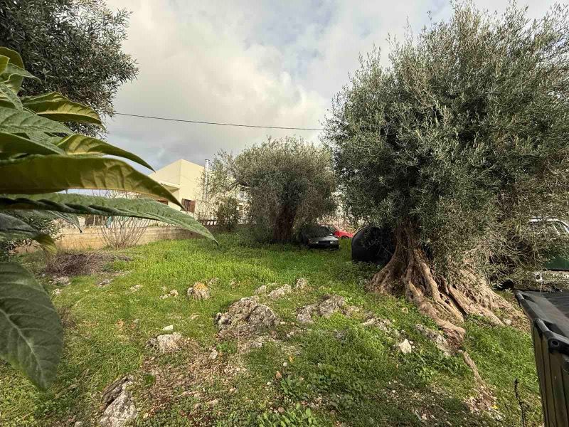 (Προς Πώληση) Αξιοποιήσιμη Γη Οικόπεδο || Πέρδικα / Κέντρο - 300τ.μ, 67000€