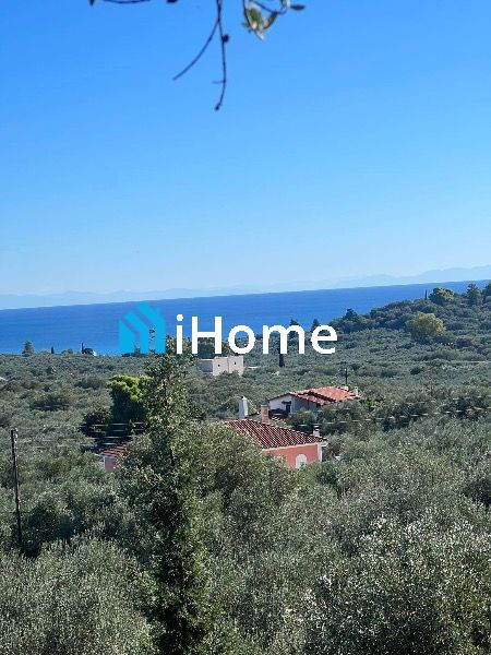 (Προς Πώληση) Αξιοποιήσιμη Γη Οικόπεδο || Λαγανάς / Λιθακιά - 2725τ.μ, 220000€
