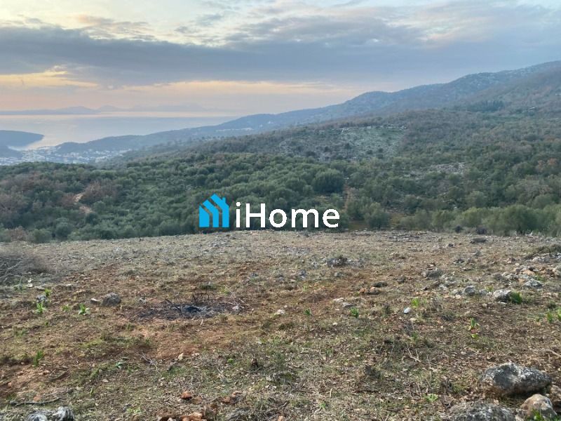 (Προς Πώληση) Αξιοποιήσιμη Γη Αγροτεμάχιο || Σύβοτα / Κέντρο - 11625τ.μ, 960000€