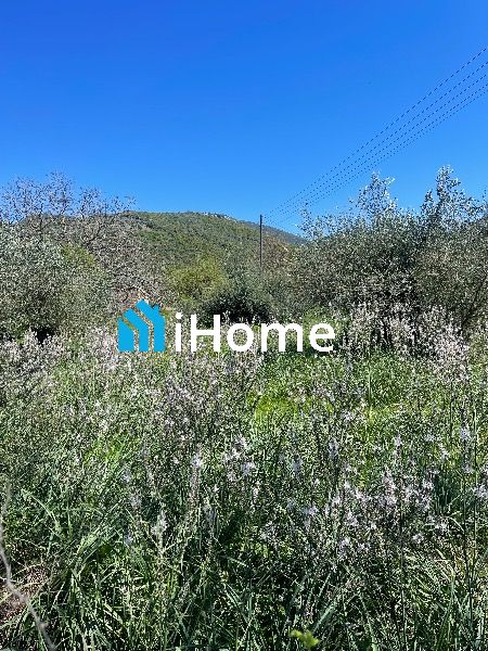 (Προς Πώληση) Αξιοποιήσιμη Γη Οικόπεδο εντός οικισμού || Μαργαρίτι / Μαζαρακιά - 2800τ.μ, 35000€