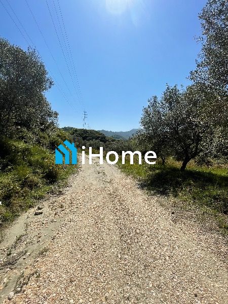 (Προς Πώληση) Αξιοποιήσιμη Γη Αγροτεμάχιο || Σύβοτα / Αργυρότοπος - 7500τ.μ, 32.000€