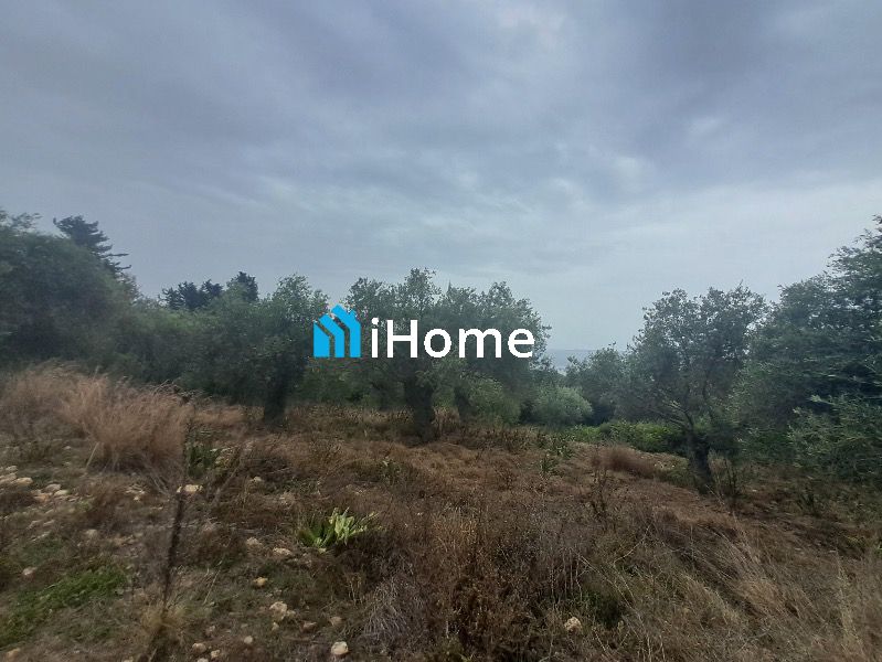 (Προς Πώληση) Αξιοποιήσιμη Γη Αγροτεμάχιο || Αρίλλα / - 3188τ.μ, 120000€