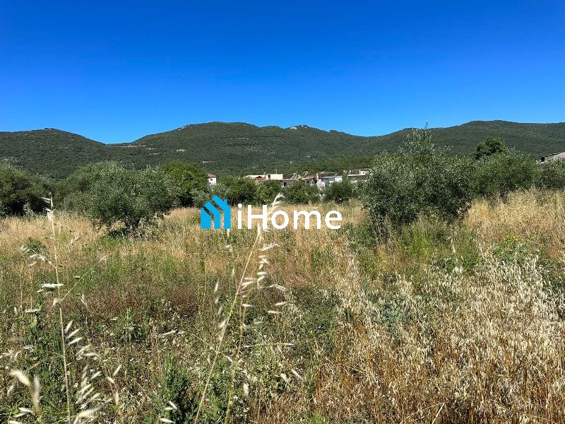 (Προς Πώληση) Αξιοποιήσιμη Γη Οικόπεδο εντός σχεδίου || Παραμυθιά /  - 3000τ.μ, 40000€