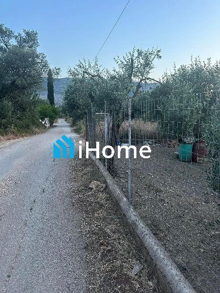 (Προς Πώληση) Αξιοποιήσιμη Γη Οικόπεδο || Φασκομηλιά - 3000τ.μ, 70000€