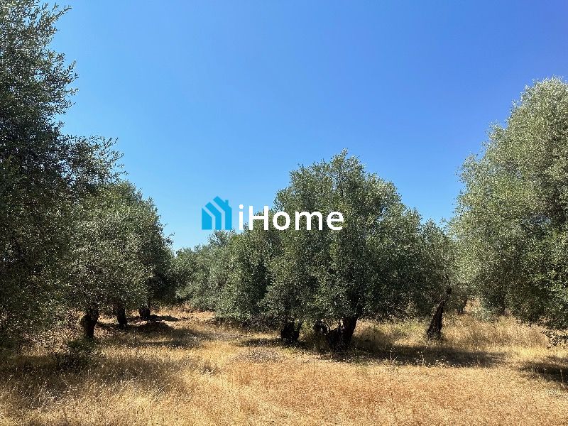 (Προς Πώληση) Αξιοποιήσιμη Γη Αγροτεμάχιο || Ηγουμενίτσα /  - 2250τ.μ, 50000€