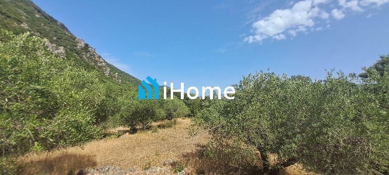 (Προς Πώληση) Αξιοποιήσιμη Γη Αγροτεμάχιο || Πέρδικα / - 6750τ.μ, 39000€