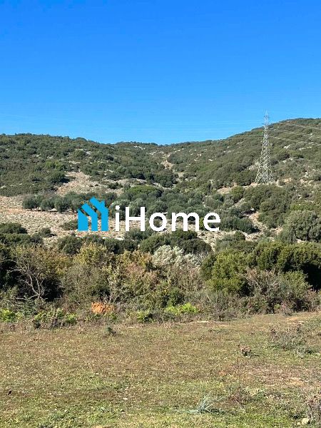 (Προς Πώληση) Αξιοποιήσιμη Γη Αγροτεμάχιο || Μαργαρίτι / Μόρφι - 7500τ.μ, 50000€