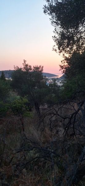 2025_06281146_9906570911.jpg