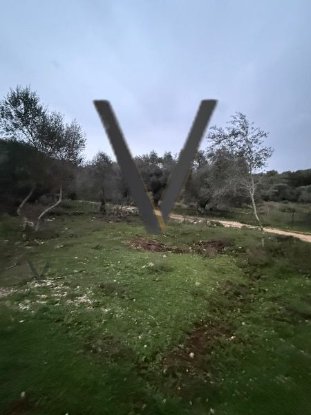 (For Sale) Land Land || Perdika /  - 4560sq 100000