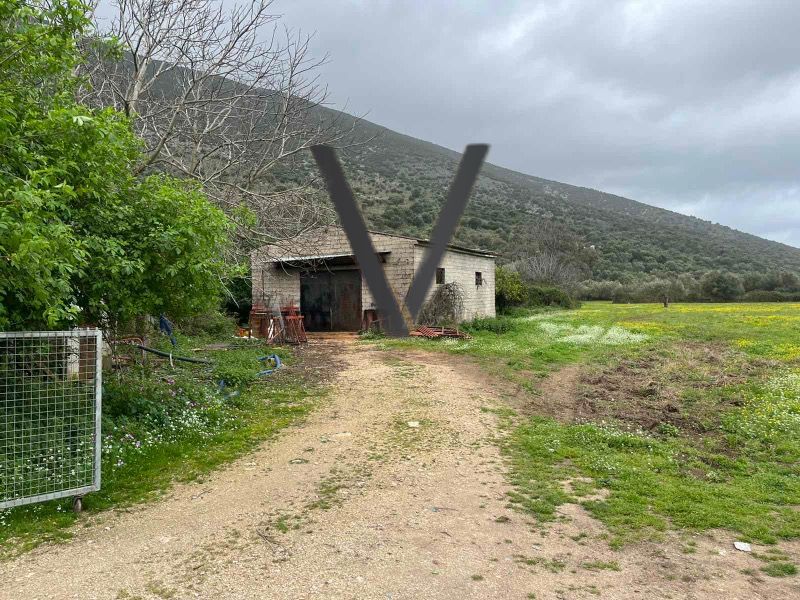 (Προς Πώληση) Αξιοποιήσιμη Γη Οικόπεδο || Αργυρότοπος - 10000τ.μ, 80000€