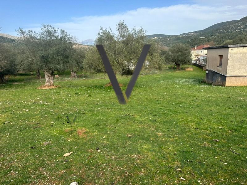.(Προς Πώληση) Κατοικία Μονοκατοικία || Μαργαρίτι / Μαζαρακιά - 80τ.μ, 2Υ/Δ, 60000€