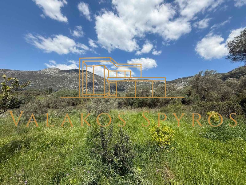 (Προς Πώληση) Αξιοποιήσιμη Γη Οικόπεδο || Σκορπιώνα - 1200τ.μ, 25000€