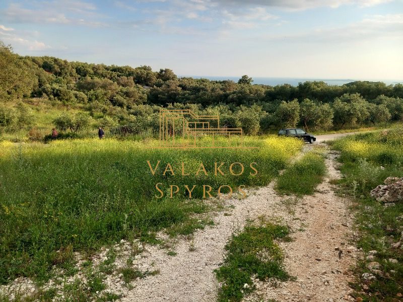 .(Προς Πώληση) Αξιοποιήσιμη Γη Οικόπεδο || Πάργα /  - 2400τ.μ, 220000€