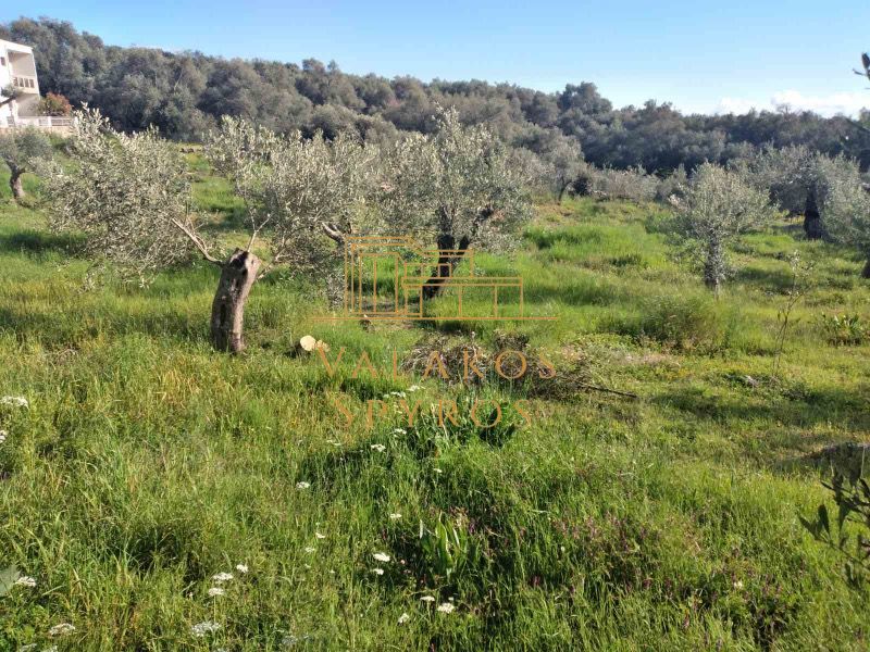 (Προς Πώληση) Αξιοποιήσιμη Γη Οικόπεδο || Πάργα / Αγιά - 851τ.μ, 75000€