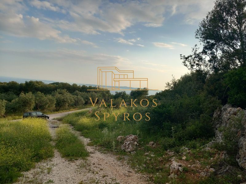 (Προς Πώληση) Αξιοποιήσιμη Γη Οικόπεδο || Πάργα / Αγιά - 702τ.μ, 75000€