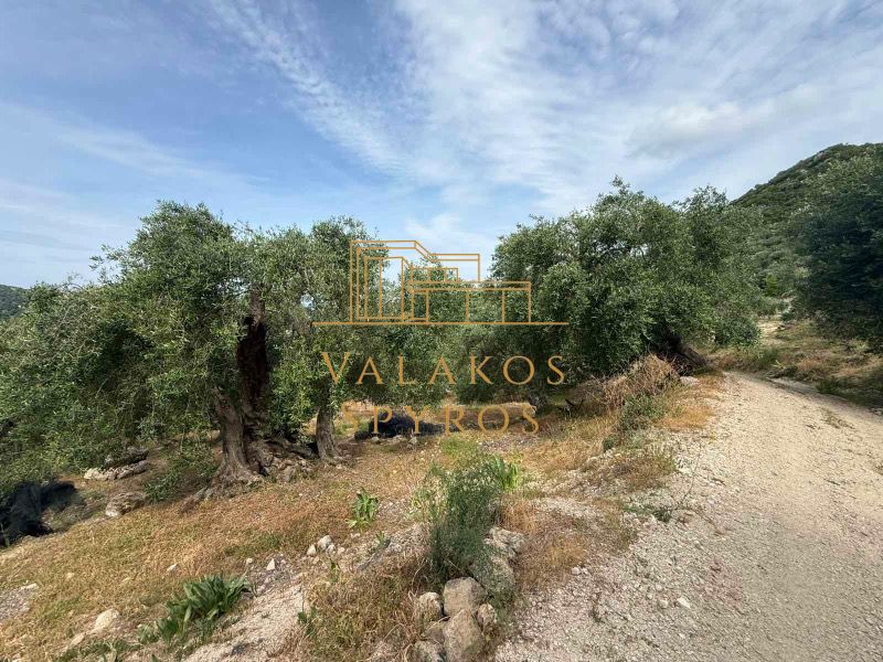 (For Sale) Land Land || Perdika / Arillas - 2350sq 30000€