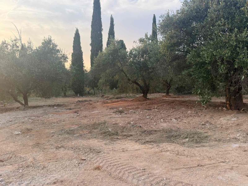 (For Sale) Land Plot || Igoumenitsa / Center - 2488sq 30000€