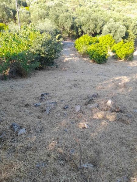 (Προς Πώληση) Αξιοποιήσιμη Γη Οικόπεδο εντός οικισμού || Μαργαρίτι /  - 3.138τ.μ, 60000€