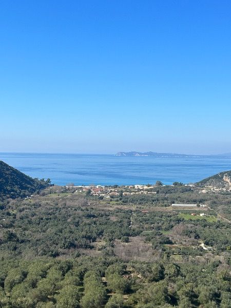 (Προς Πώληση) Αξιοποιήσιμη Γη Αγροτεμάχιο || Πέρδικα / Καραβοστάσι - 12500τ.μ, 220000€
