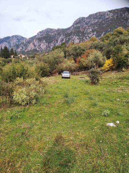 (Προς Πώληση) Αξιοποιήσιμη Γη Αγροτεμάχιο || Παραμυθιά / Ζερβοχώρι - 11450τ.μ, 40000€