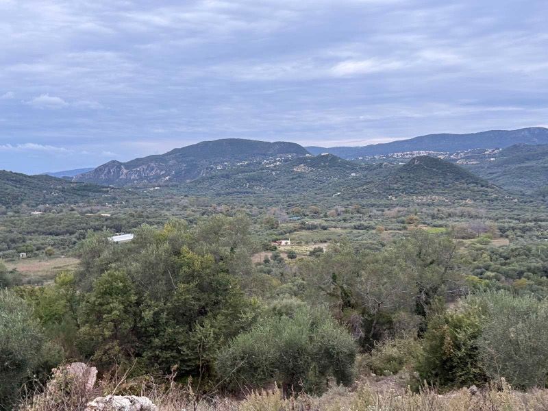 (Προς Πώληση) Αξιοποιήσιμη Γη Αγροτεμάχιο || Πέρδικα / Καραβοστάσι - 3000τ.μ, 27000€