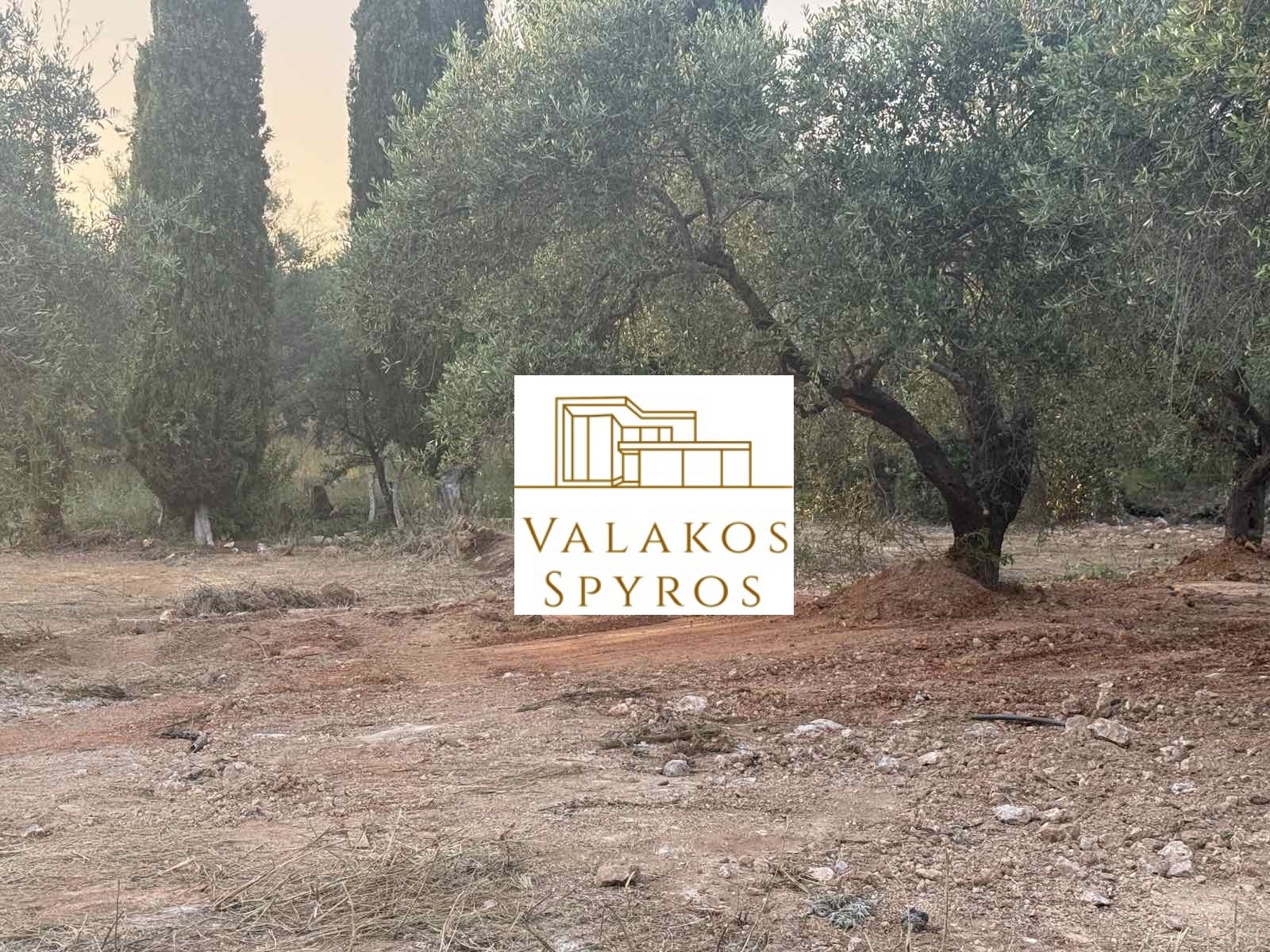 .(προς πώληση) Αξιοποιήσιμη Γη Οικόπεδο || Ν. Θεσπρωτίας / Πέρδικα - 239.0τ.μ., 30.000€