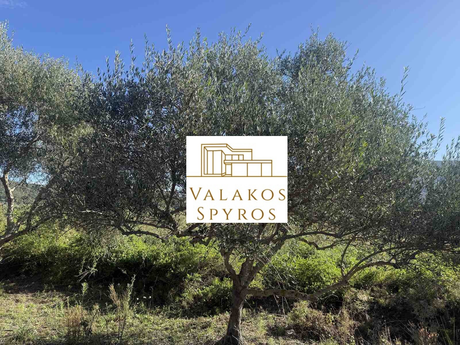 .(Προς Πώληση) Αξιοποιήσιμη Γη Αγροτεμάχιο || Πέρδικα / Καραβοστάσι - 2.515τ.μ, 54.000€