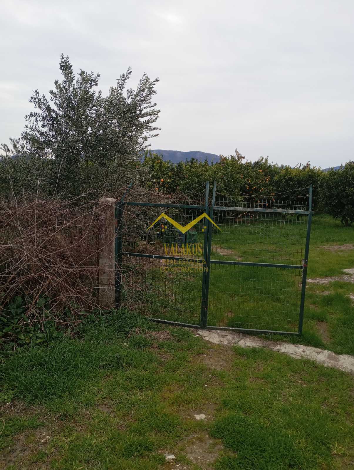 .(προς πώληση) Αξιοποιήσιμη Γη Αγροτεμάχιο || Ν. Θεσπρωτίας / Κεστρίνη - 5856.0τ.μ., 42.000€