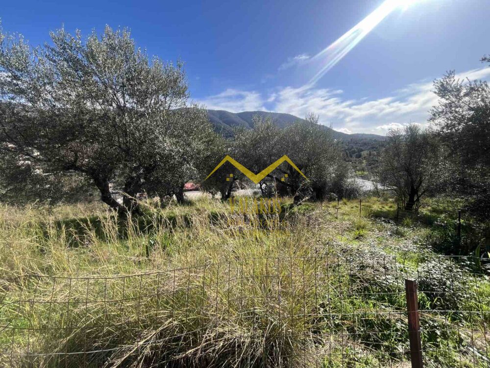 (προς πώληση) Αξιοποιήσιμη Γη Οικόπεδο || Ν. Θεσπρωτίας / Ηγουμενίτσα - 351.0τ.μ., 72.100€