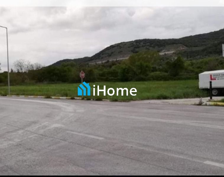 (Προς Πώληση) Αξιοποιήσιμη Γη Αγροτεμάχιο || Παραμυθιά / - 5465τ.μ, 120000€
