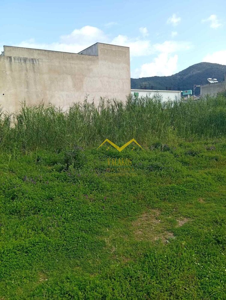 (προς πώληση) Αξιοποιήσιμη Γη Οικόπεδο εντός σχεδίου || Ν. Θεσπρωτίας / Ηγουμενίτσα - 238.0τ.μ., 115.000€