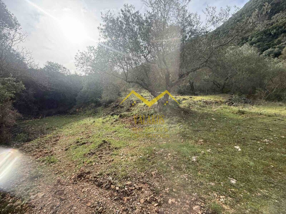 .(Προς Πώληση) Αξιοποιήσιμη Γη Αγροτεμάχιο || Πέρδικα /  - 5.616τ.μ, 31000€