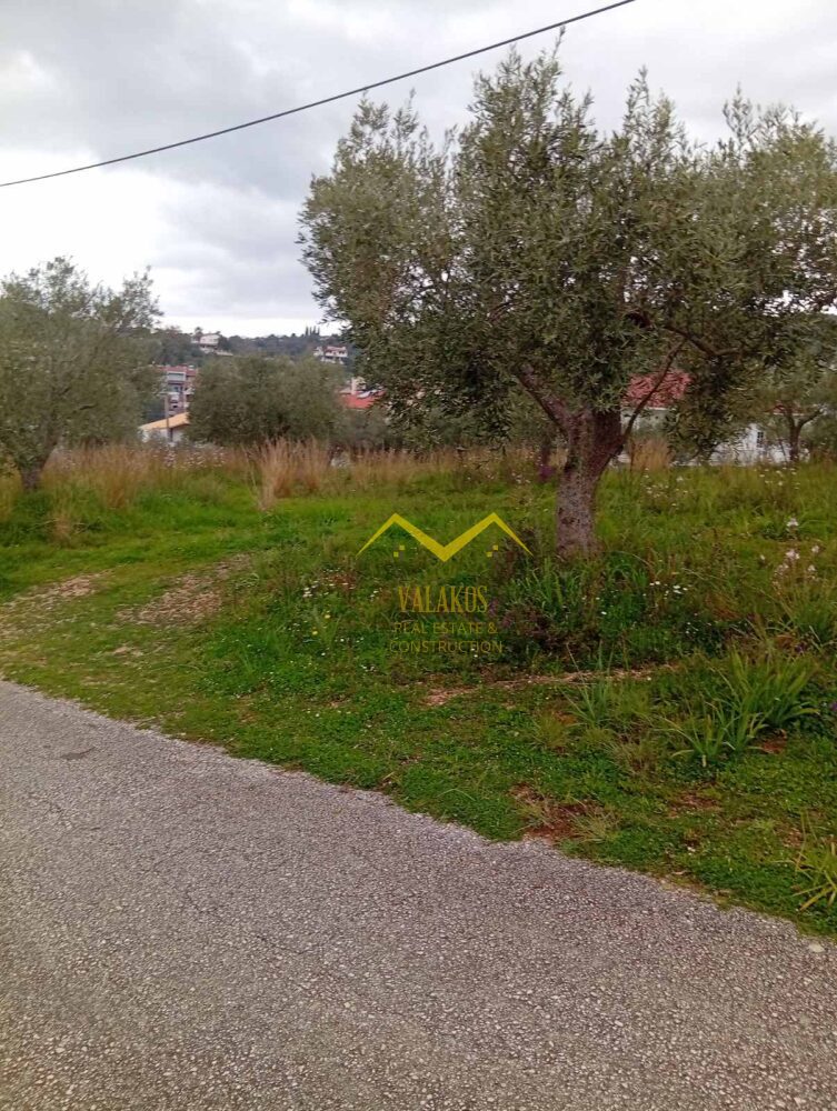 (προς πώληση) Αξιοποιήσιμη Γη Αγροτεμάχιο || Ν. Θεσπρωτίας / Ηγουμενίτσα - 1800.0τ.μ., 145.000€