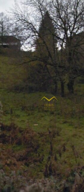 (for sale) Land Land whithin village || Ioannina Prefecture / Timfi - 365.0sq.m, 50.000€