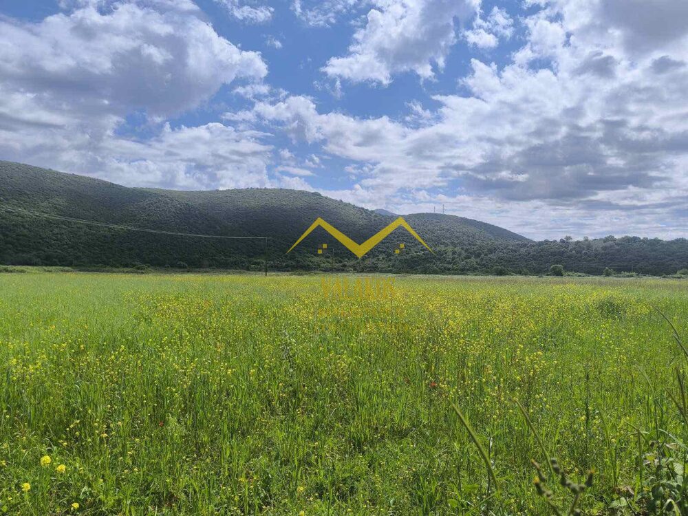 (for sale) Land Land || Thesprotia Prefecture / Margariti - 10000.0sq.m, 25.000€