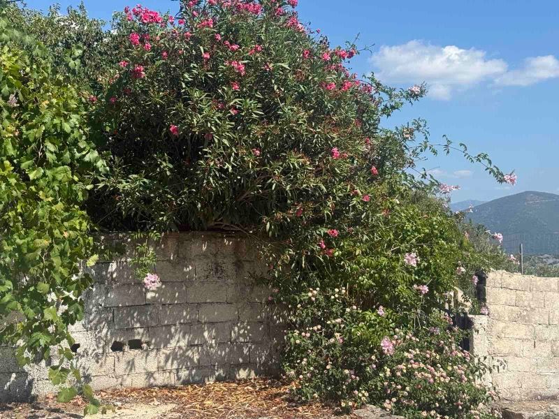 (Προς Πώληση) Κατοικία Μονοκατοικία || Ηγουμενίτσα /  - 140τ.μ, 0Υ/Δ, 83000€