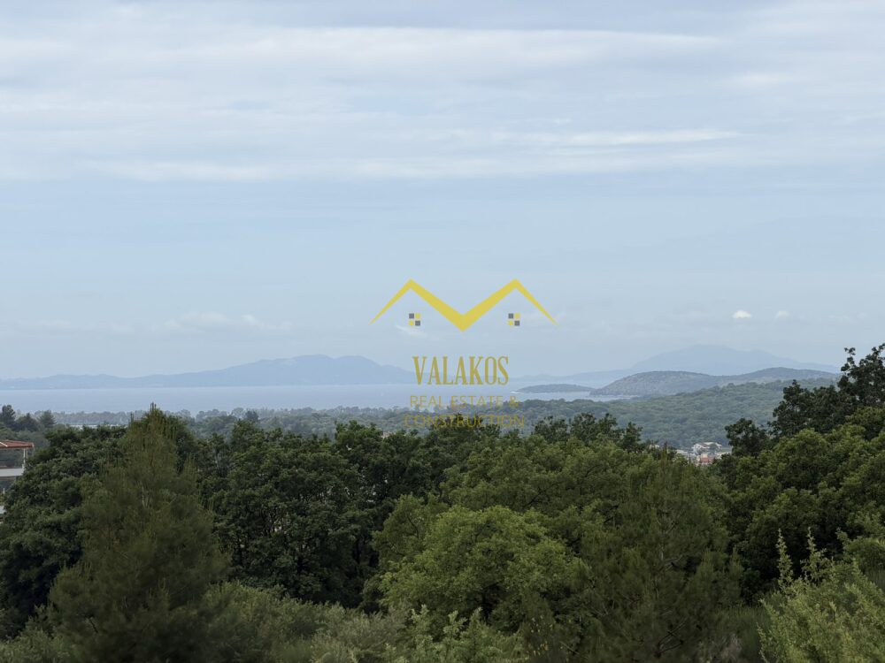 (προς πώληση) Αξιοποιήσιμη Γη Οικόπεδο εντός οικισμού || Ν. Θεσπρωτίας / Ηγουμενίτσα - 422.0τ.μ., 125.000€