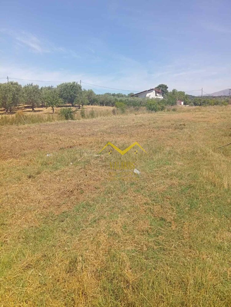 (for sale) Land Plot || Thesprotia Prefecture / Igoumenitsa - 1000.0sq.m, 75.000€