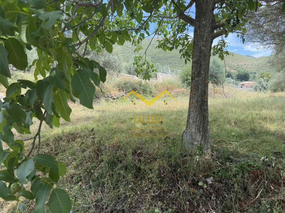 (for sale) Land Land within city plan || Thesprotia Prefecture / Psaka - 1800.0sq.m, 35.000€