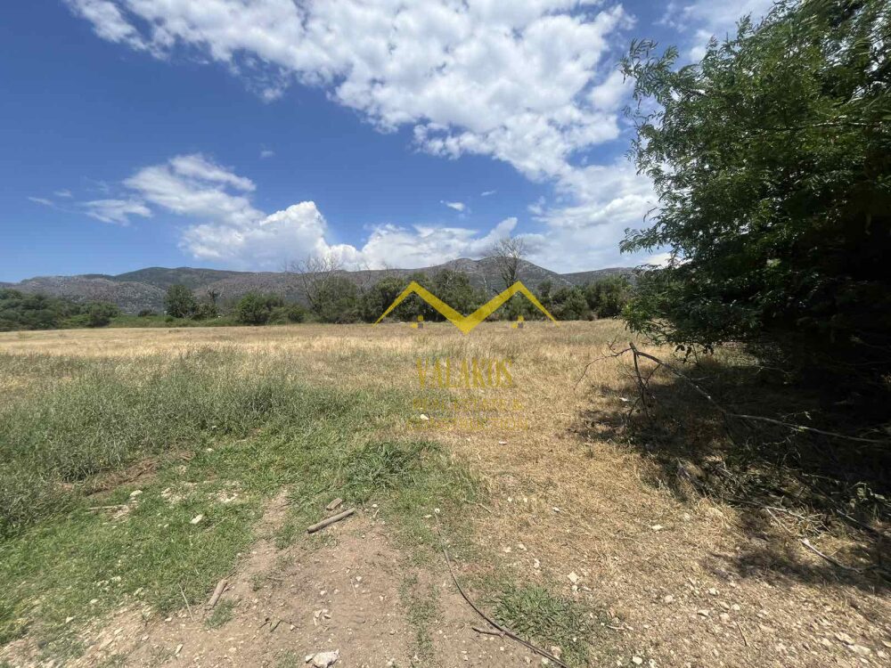 (for sale) Land Land || Thesprotia Prefecture / Argirotopos - 10000.0sq.m, 83.000€