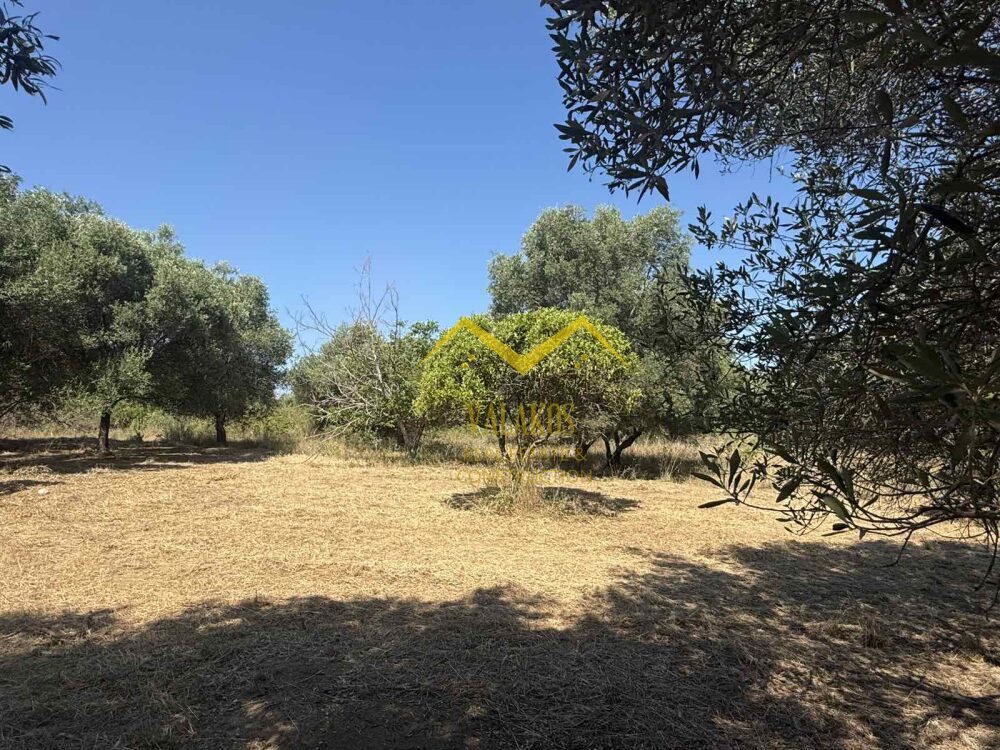 (for sale) Land Land || Thesprotia Prefecture / Perdika - 1890.0sq.m, 35.000€