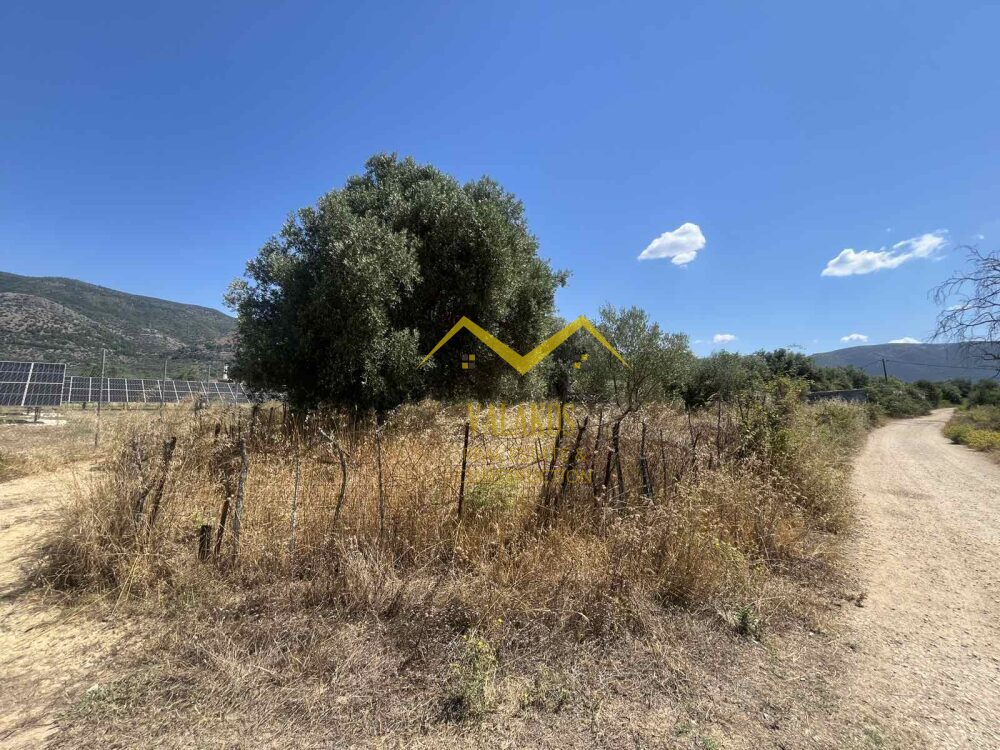 (προς πώληση) Αξιοποιήσιμη Γη Αγροτεμάχιο || Ν. Θεσπρωτίας / Σύβοτα - 10000.0τ.μ., 72.500€