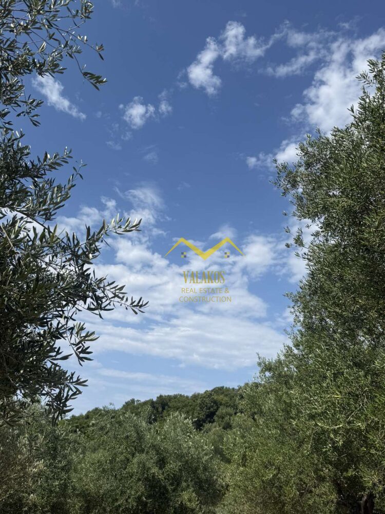 (for sale) Land Land || Thesprotia Prefecture / Igoumenitsa - 16000.0sq.m, 57.000€