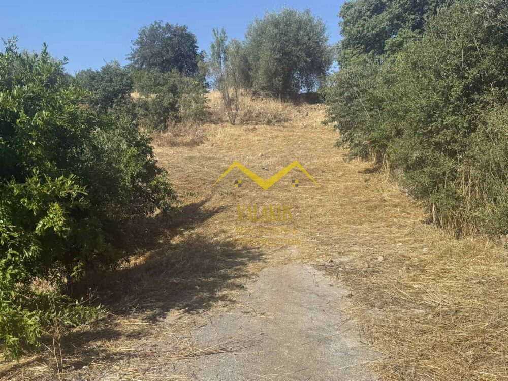 (For Sale) Land Land whithin village || Margariti /  - 8196sq 60000€
