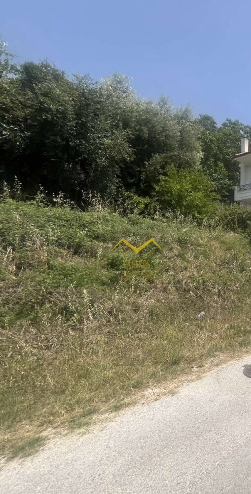 (for sale) Land Plot || Thesprotia Prefecture / Paramithia - 250.0sq.m, 30.000€