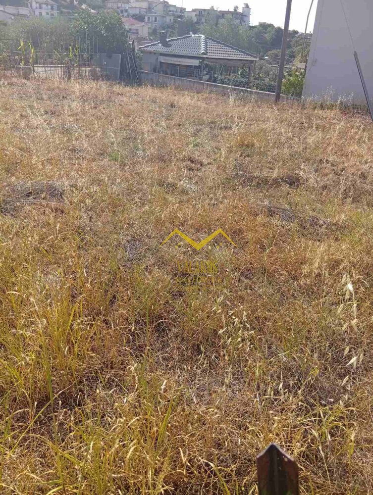 (for sale) Land Plot || Thesprotia Prefecture / Filiates - 300.0sq.m, 40.000€